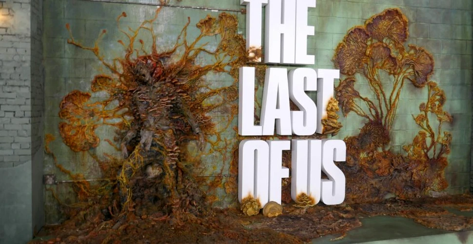 Ciuperca din „The Last Of Us” există în realitate