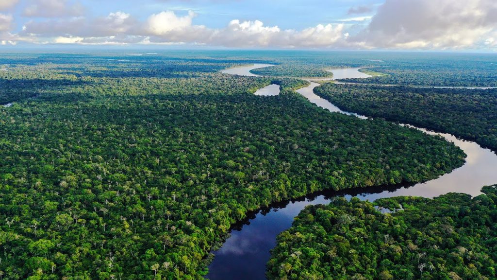 Amazon, fluviul vieții