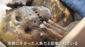 Bizarele sirene mumificate din Japonia